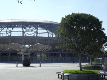 Budapest (Groupama Aréna - FTC Stadion) - Fraxinus ornus 'Mecsek'