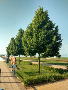 Siófok, Hajóállomás