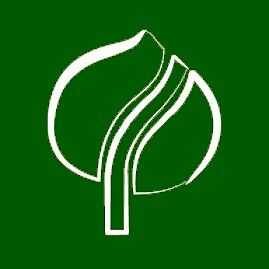 Székesfehérváron is a mi fáink adnak majd árnyékot!
