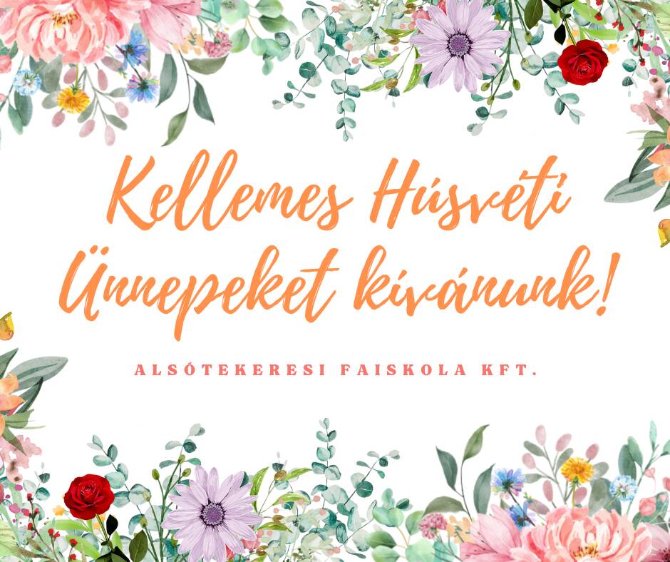 Kellemes Húsvéti Ünnepeket kívánunk!