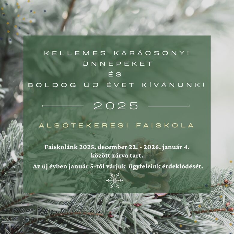 Kellemes Ünnepeket kívánunk!