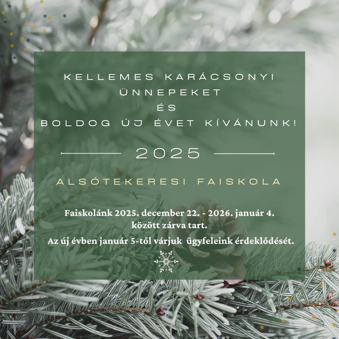 Kellemes Ünnepeket kívánunk!