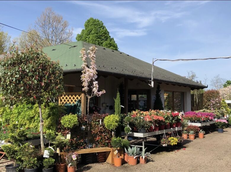 Nyitvatartásunk: Hétfőtől -Szombatig: 8:00 -17:00